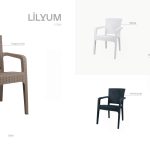 Lilyum