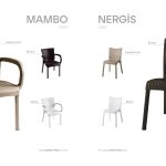 Mambo ve Nergis
