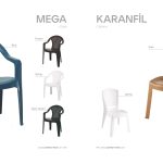 Mega ve Karanfil
