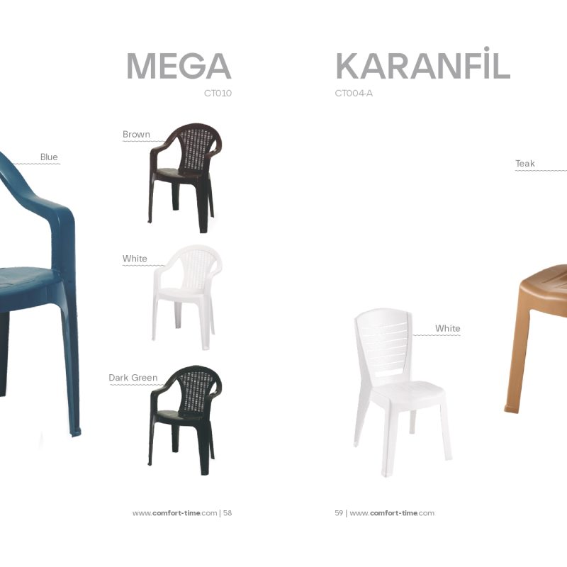 Mega ve Karanfil